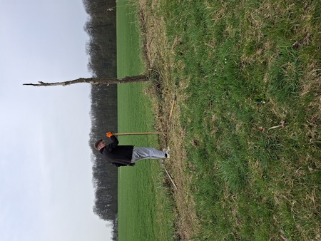 Sajenje medovitih rastlin 5